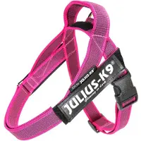 Julius-K9 , IDC tuig met kleur- en grijze accenten