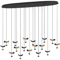 Stars of Light Zwarte hanglamp Dracera met goud