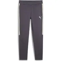 Puma Sportbroek 'Evostripe'