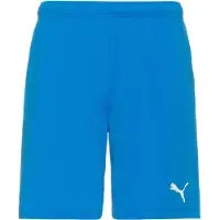 Puma Sportbroek 'TeamRise' azuur