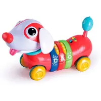 Tachan Regenboogpuppy Met Afstandsbediening En Activiteiten Spaans