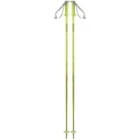 Salomon Polar Stokken