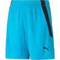 Puma teamLIGA Voetbalbroekje Kids Felblauw Zwart