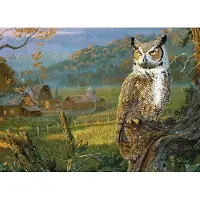 Willow Creek Press Edge of the Night Puzzel 1000 Stukjes