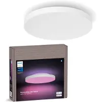 Philips Hue Datura Panneau Lumineux - White and Color - Rond - Blanc - Petit