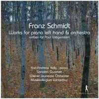 Pias Paul Wittgenstein, Karl-Andreas Kolly, Sarastro Quartett, Wiener Jeunesse Orchester, Musikkollegium Winterthur - Schmidt: Works For Piano Left Hand & Orchestra (2 CD)