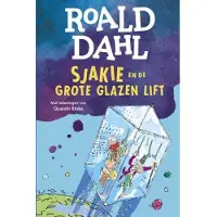 De Fontein Sjakie en de grote glazen lift (Hardback)