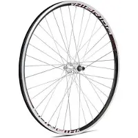 Gurpil Xm-1 8-11s 29´´ Tubeless Mtb Achterwiel