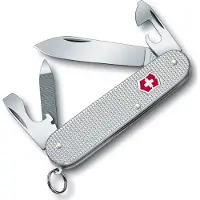 Victorinox Cadet Zilver