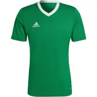 Adidas Functioneel shirt 'Entrada 22' grasgroen / wit