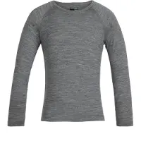 Icebreaker 200 Oasis Crew Merino T-shirt Met Lange Mouwen
