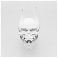 Warner Music Silence In The Snow (Special Edition)