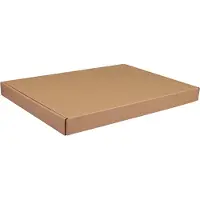 Klika - Brievenbusdoos | A4+ | golfkarton | 345x255x27mm | met klep | bruin | 50 stuks