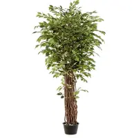 Emerald - Kunstplant Ficus Benjamina Liana Deluxe 205cm - Kunstplant voor binnen