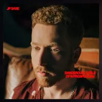 Sony Dangerous Levels Of Introspect