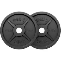 Gorilla Sports Olympische halterschijven set 2 x 15 kg Gietijzer Zwart 50/51 MM