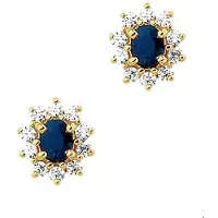 The Jewelry Collection Geelgouden Oorknoppen saffier en zirkonia halo 4000950
