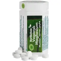 Berthelsen Naturprodukter Vegansk Magnesium 90 stk.