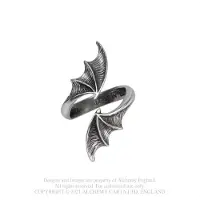 Alchemy Gothic - Gothic Ring - Night with the Goethe Ring - voor Vrouwen - zilverkleurig - Maat L-XL