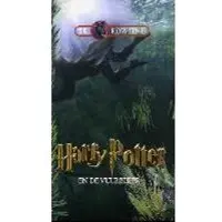 Rubinstein Harry Potter en de vuurbeker