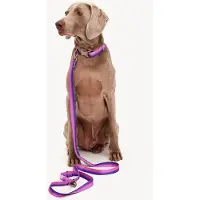 DOGGUO Gradient Leash - Hondenriem - 23 cm Paars Pink Voor Kleine Honden