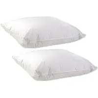 Ducky Dons Veren Hoofdkussen Set (2 Stuks) - 60x70 cm-Medium