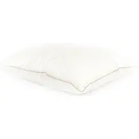 Coppens Timzo Hoofdkussen Noblesse Pearl