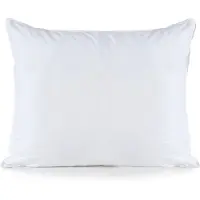 Deltex Hoofdkussen Deltex Vedera Ecodown