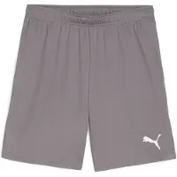Puma teamGOAL Voetbalbroekje Grijs Wit