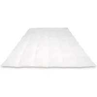 Cassenz Rembrandt Donzen Dekbed - 100 % Mazurische ganzendons - Zomer - 200 x 220 cm