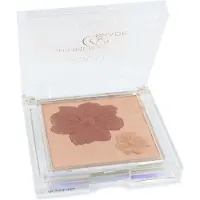 Collection Shimmer & Shade Highlighter - 2 Golden & Gorgeous