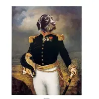 PGM Kunstdruk Thierry Poncelet - Ceremonial Dress 66x86cm