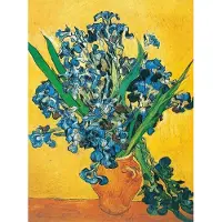 PGM Kunstdruk Vincent Van Gogh - Les iris 60x80cm