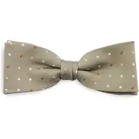 Sir Redman SR24045 ( SRBOWTIE24045 ) strik Primo Puntino - grijsgroen