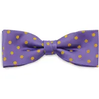 Sir Redman SR24048 ( SRBOWTIE24048 ) strik Satin Dot