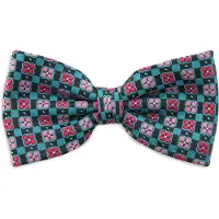 Sir Redman SR24083 ( SRBOWTIE24083 ) strik Daisy Lewis turquoise