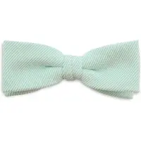 Sir Redman SR24015 ( SRBOWTIE24015 ) strik Corduroy mintgroen