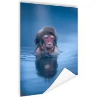 MuchoWow Poster Water - Aap - Reflectie - Dieren - 120x180 cm XXL
