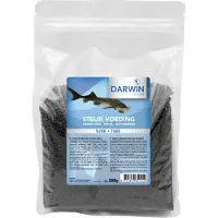 Darwin Steur Vijvervoeding