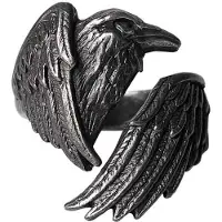 Alchemy Gothic - Gothic Ring - Made of the Night Ring - voor Vrouwen - zwart - Maat L-XL