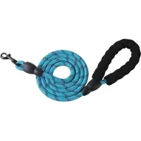 Universeel Huisdier Reflecterende 1,5 Meter Riem Nylon Ronde Riem Explosieveilige Ponsriem Hond Loopt Rond Riem Zonder Wurging