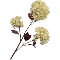 Silk-ka Kunstbloem Sneeuwbal Crème H 107 Cm