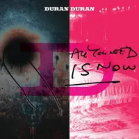 Universal Music Duran Duran - All You Need Is Now (2 LP)