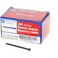 HJZ Stalen nagel bombe kop 50 x 2.5mm