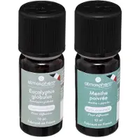 Atmosphera Aromatische Etherische olie - set van 2 geuren - Eucalyptus en pepermunt/mint - huisparfum navulling
