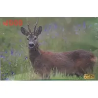 Fame puzzel Puzzel 1000 stukjes Hert
