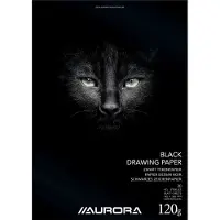 Aurora Pak van 15 x Tekenblok zwart tekenpapier 245x345 mm 120 grams 20 vel