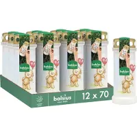 Bolsius - Herdenkingslicht - Wit met Teddybeer Print - 12 stuks - 70 branduren - 3 Dagen
