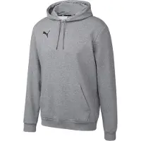 Puma Teamgoal 23 Causals Hoodie Grijs XL Man