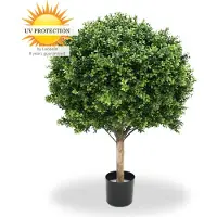 LeopoldFlora Grote Kunst Buxus Bol 80